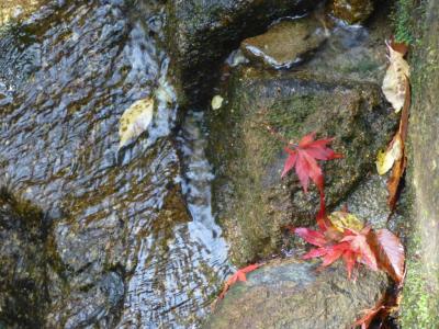 付知峡　不動滝の紅葉を見てきました♪