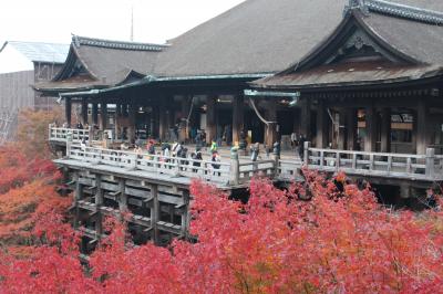 紅葉の京都ぶらり一人旅～清水寺～東福寺～永観堂～銀閣寺～高台寺～圓徳院