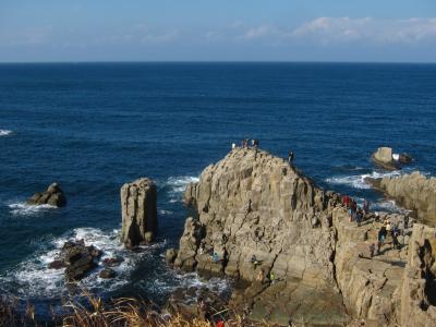 福井の地酒とセイコガニを堪能