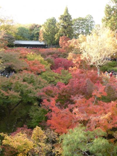 2014 秋の京都　のんびり♪ウットリ☆　東福寺　紅葉散歩