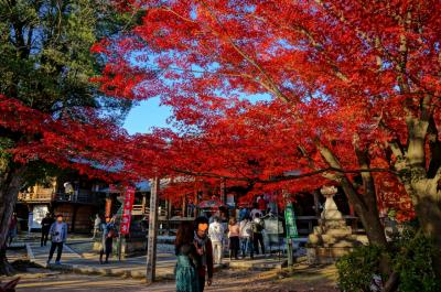 2014年秋満開　初めての犬山寂光院