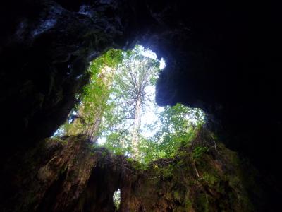 屋久島で今年最後のトレッキング～１日目（久々の一人旅）