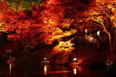 栗林公園・秋の夜間ライトアップ2014