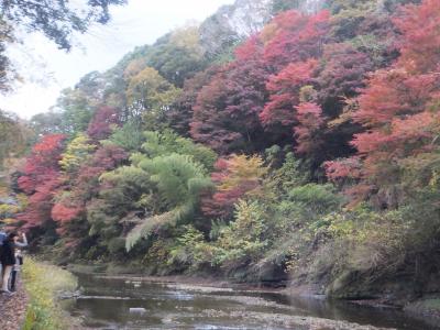 紅葉の養老渓谷と粟又の滝