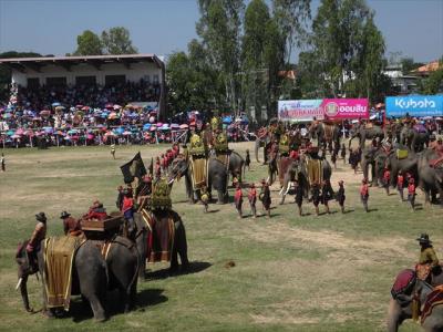 タイ全県制覇をめざして スリン象祭り ３