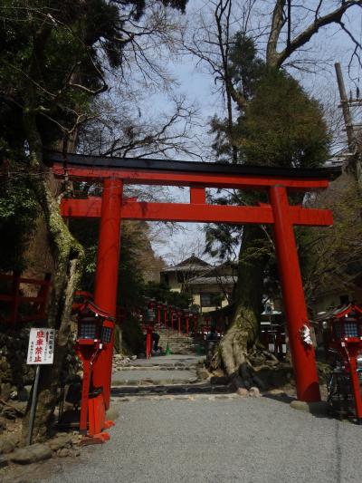 今年も京都の桜の時期に･･･4