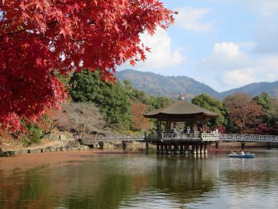 両親と行く大古事記展＆浮見堂☆木花咲那姫は美しかった～♪そしてボンネットバスにも遭遇(^o^)／