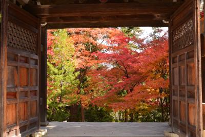 2014年11月二尊院紅葉