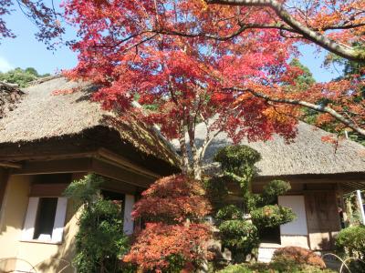 紅葉の九年庵と「光の王国」ハウステンボス　2日間　【2日目】