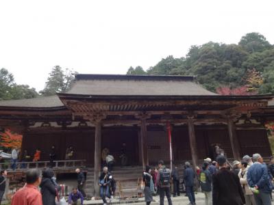 西明寺で桜と紅葉