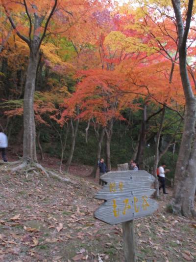 摂津峡の紅葉