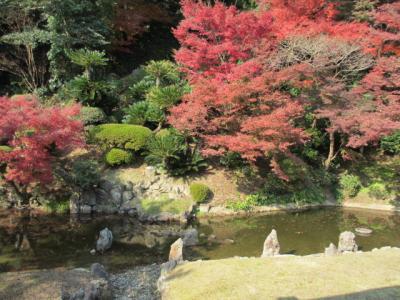 2014年　宇部市　宗隣寺で紅葉を見てその後本堂で座禅を組みました。