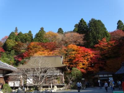 シャトルバスが来ないので百済寺に