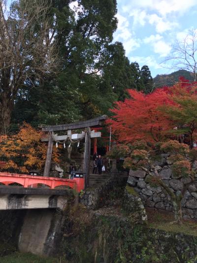 出石の皿蕎麦と紅葉と篠山牛と