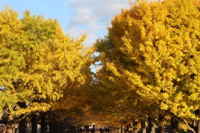 秋を探しに～初めての昭和記念公園
