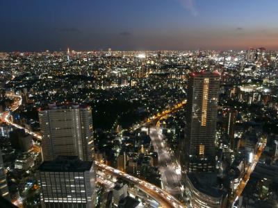 東京の夜景取材