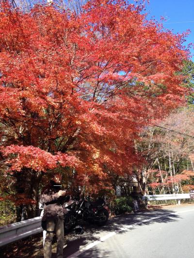 思い立ったら旅へ　大子／袋田の滝ともみじ寺を巡る旅