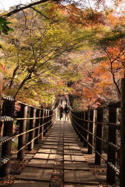 高萩　花貫渓谷の紅葉をもとめて…そして渋滞であきらめた袋田の滝（涙）いつかリベンジするぞ～！