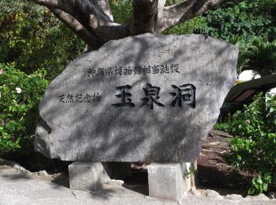 ペットロス癒しの沖縄　1