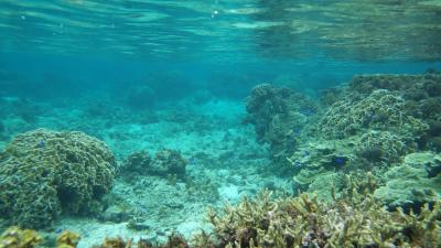 雨曇りの石垣島