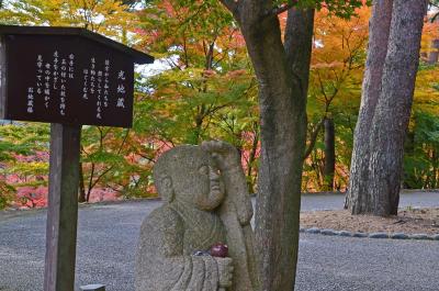 修善寺で紅葉を見てきました 2014.11.24 =2.虹の郷・イギリス村～伊豆の村～匠の村=