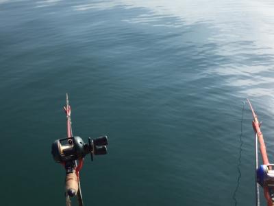 チヌ（黒鯛）釣り