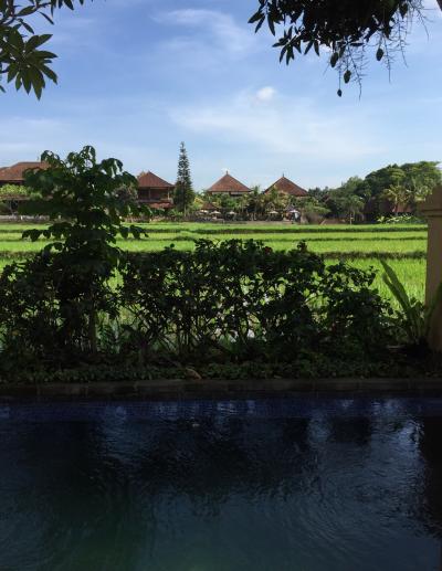 癒しのバリ 女二人旅 ウブド編１