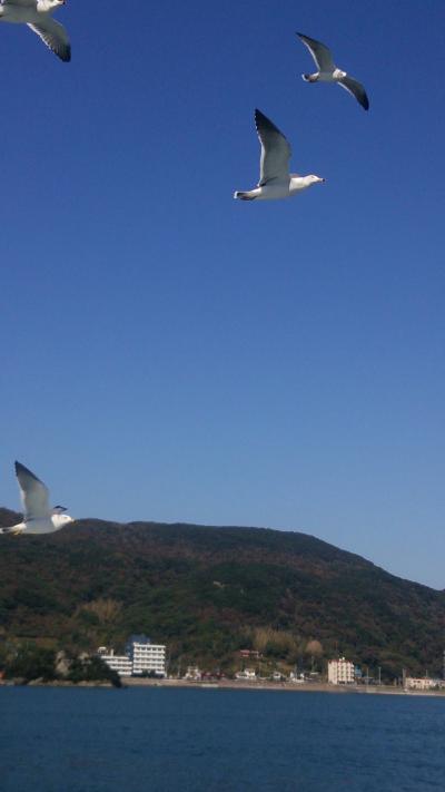 ロック、西伊豆へ行く～( ￣▽￣)