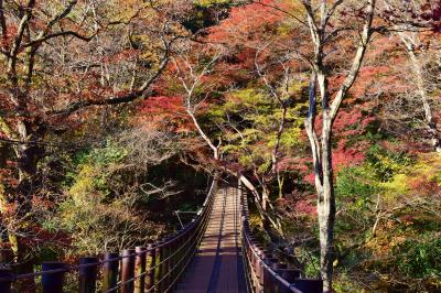 茨城のイチオシ紅葉スポット花貫渓谷と袋田の滝へ