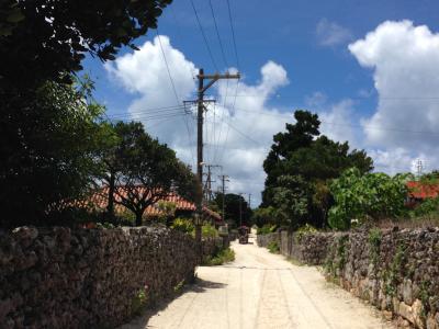 縦横無尽に駆け巡れ！