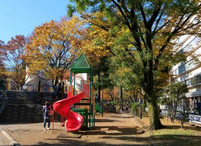 街の小さな公園　赤羽公園　にも　秋が来た。