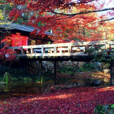 2014/11 多治見で紅葉狩り♪ 森のカフェ&amp;虎渓山