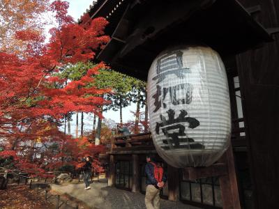 京都の真如堂、夜のライトアップされた永観堂の紅葉を見に行ってきました。