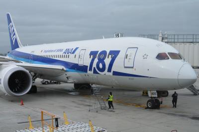 独り上手なオッサンの休暇・ANA特典ビジネスで行く初のアメリカ本土。ベイエリアとナパで食う、飲む、太る、出発からサンフランシスコまで①