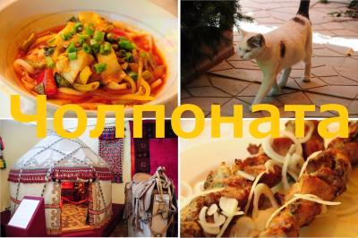 夏旅10ビザ免除で初中央アジア★チョルポンアタ★キルギス食堂と歴史文化博物館