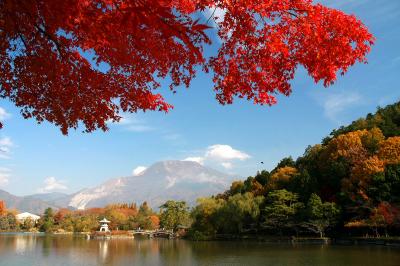 長浜城から三島池・徳源院へ、伊吹山の麓で紅葉めぐり