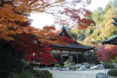 2014　近江の紅葉散歩　湖南三山　善水寺