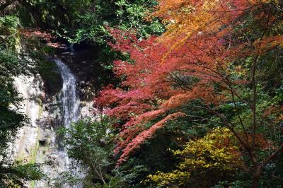 紅葉の桃尾の滝、大親寺、天理ダム