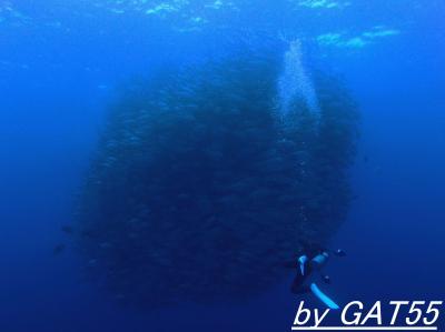 沖縄の離島に行こう～粟国島編　その１～