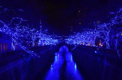 今年の冬の目黒川は青の洞窟に変身