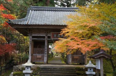 2014.11 近江・若狭の寺社・紅葉④～妙楽寺・若狭国分寺・若狭彦神社