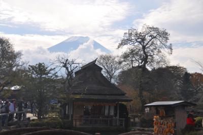 忍野八海から山中湖　・紅葉の富士山周遊　その２