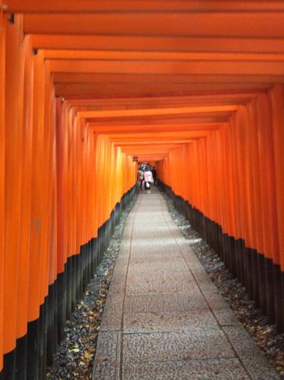 紅葉の京都　2014 　2日目