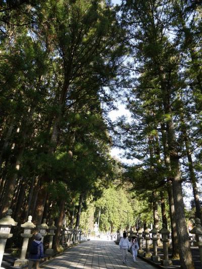 【オカンと行く！　京都 ・ 世界遺産 高野山の旅】　　3/3作目　高野山～ちょこっと大阪編