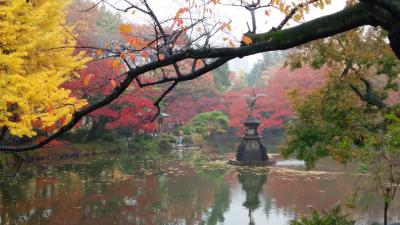 日比谷公園の紅葉