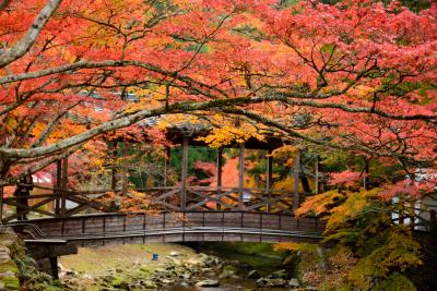 2014・紅葉彩る山陽道（広島県）をぶらりと巡る旅【２】～山紫水明の地が艶やかに染められて…大本山佛通寺へ～