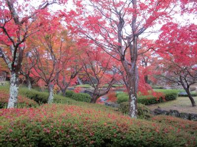 奈良コミュオフ会　今年は雨でした。
