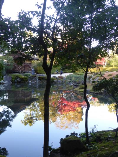 奈良でのオフ会。待ちきれなくて一日早く奈良を散策。