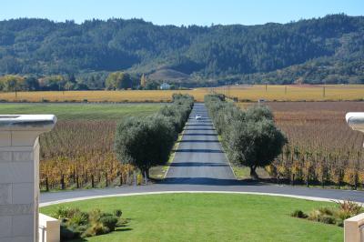 独り上手なオッサンの休暇:ANA特典ビジネスで行く初のアメリカ本土。ベイエリアとナパで食う・飲む・太る。②ワイナリー訪問から帰国編