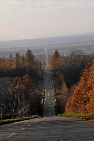 2014.11網走出張旅行3-小清水原生花園，知床斜里27.5ｋｍの直線　天に続く道